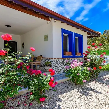 Villa Kayakoey'de Oezel Havuzlu 6 Kisilik Lavender